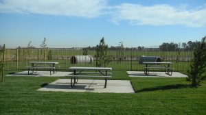 Picnic Table Yanks RV Resort Greenfield CA
