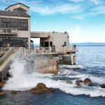 Monterey Bay Aquarium near Luxurious Yanks RV Resort Greenfield CA